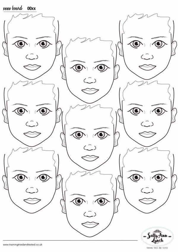 Sally-Ann Lynch Practice Board A2 Portrait x9 Child Face